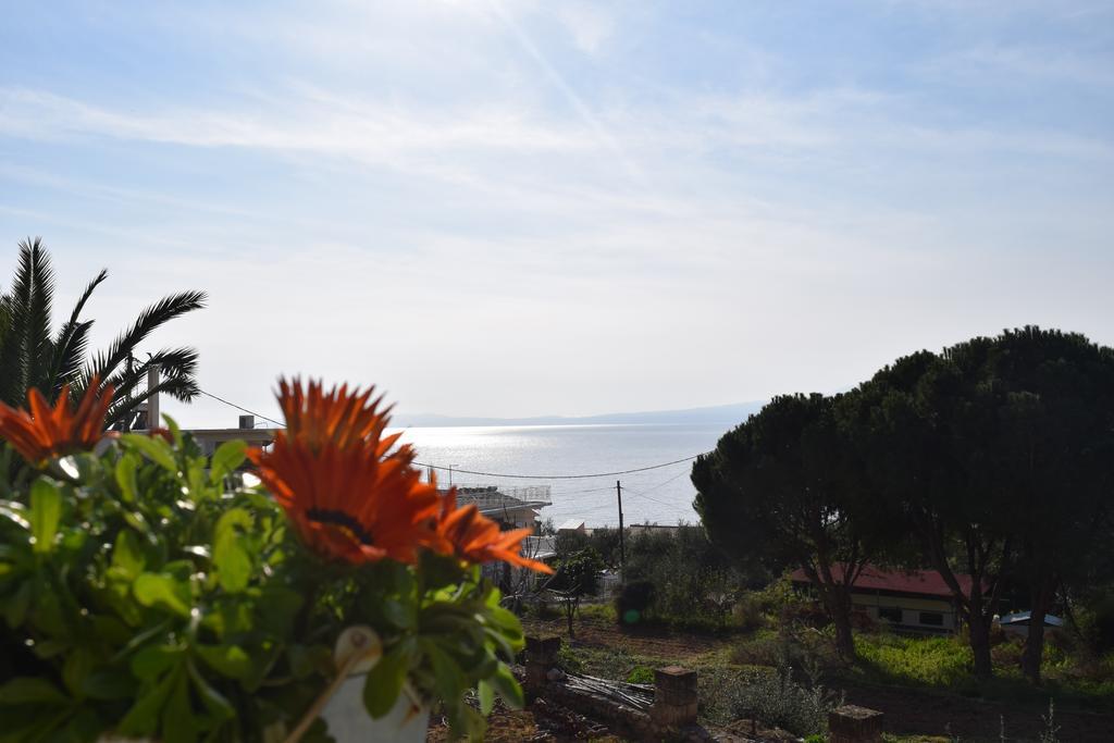Petra Thea Apartment Kalamata Luaran gambar